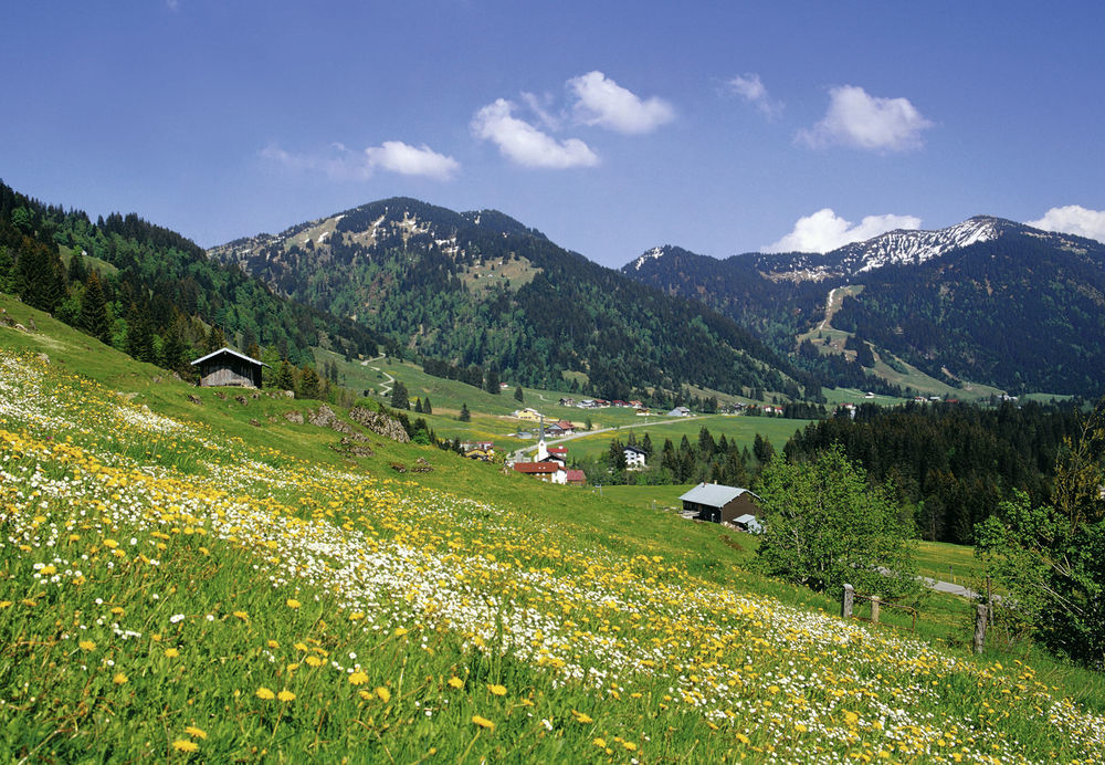Bio-berghotel Ifenblick Hotel 3*