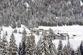 Отель Bio-berghotel Ifenblick Бальдершванг